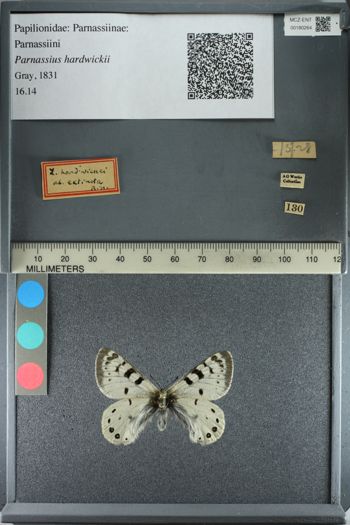 Media type: image;   Entomology 180264